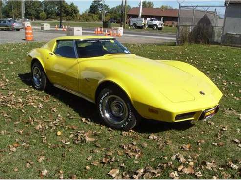 1975 Chevrolet Corvette for sale in Cadillac, MI