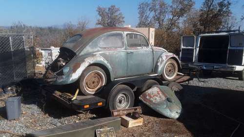 1957 vw beetle - cars & trucks - by owner - vehicle automotive sale for sale in Mountain ranch, CA