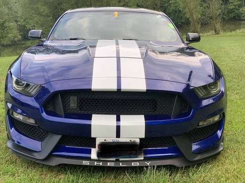 2016 Shelby GT350 Mustang for sale in Anna, IL