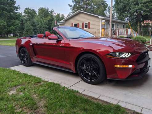 2019 Mustang Convertible for sale in Jenkins, MN