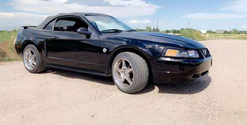 2002 FORD MUSTANG GT DELUXE 2D STOCK#7476 for sale in Fort Collins, CO