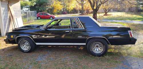 1980 Ford 302 Thunderbird muscle car - cars & trucks - by owner -... for sale in Hopeland, PA