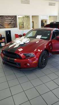 2014 Mustang Shelby GT500 for sale in FL
