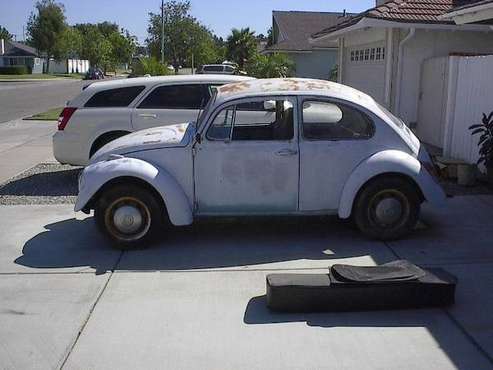 1969 VW Beetle - cars & trucks - by owner - vehicle automotive sale for sale in Placentia, CA