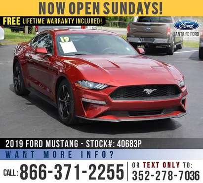 *** 2019 Ford Mustang Ecoboost *** Cruise - SiriusXM - Remote Start... for sale in Alachua, FL