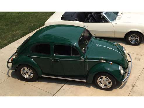 1964 Volkswagen Beetle for sale in Pleasant Prairie, WI