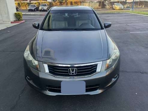 2008 Honda Accord EX-L V6 for sale in Portales, NM