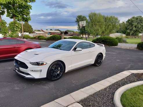 2019 Ford Mustang Ecoboost Premium for sale in Dallas, TX