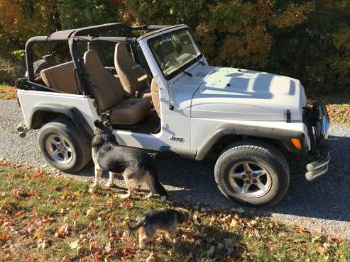 2001 Jeep Wrangler for sale in Piney Flats, TN