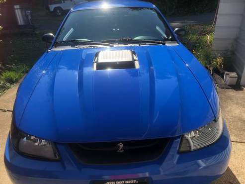 2004 Mach 1 78K - cars & trucks - by owner - vehicle automotive sale for sale in Eugene, OR