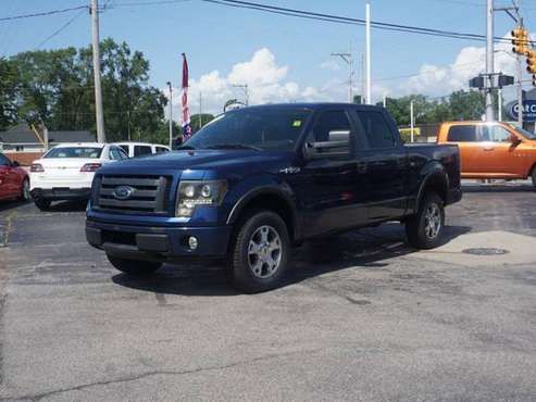 2009 *Ford* *F-150* Blue Flame Clearcoat Metallic for sale in Muskegon, MI