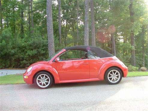 2003 Volkswagen Beetle for sale in Cadillac, MI