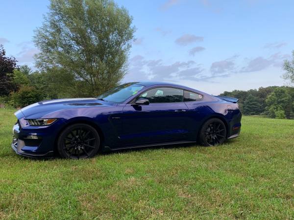 2016 Shelby GT350 Mustang for sale in Anna, MO – photo 3
