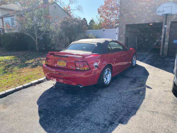 1999 Mustang Cobra Supercharged - cars & trucks - by owner - vehicle... for sale in North Babylon, NY – photo 2