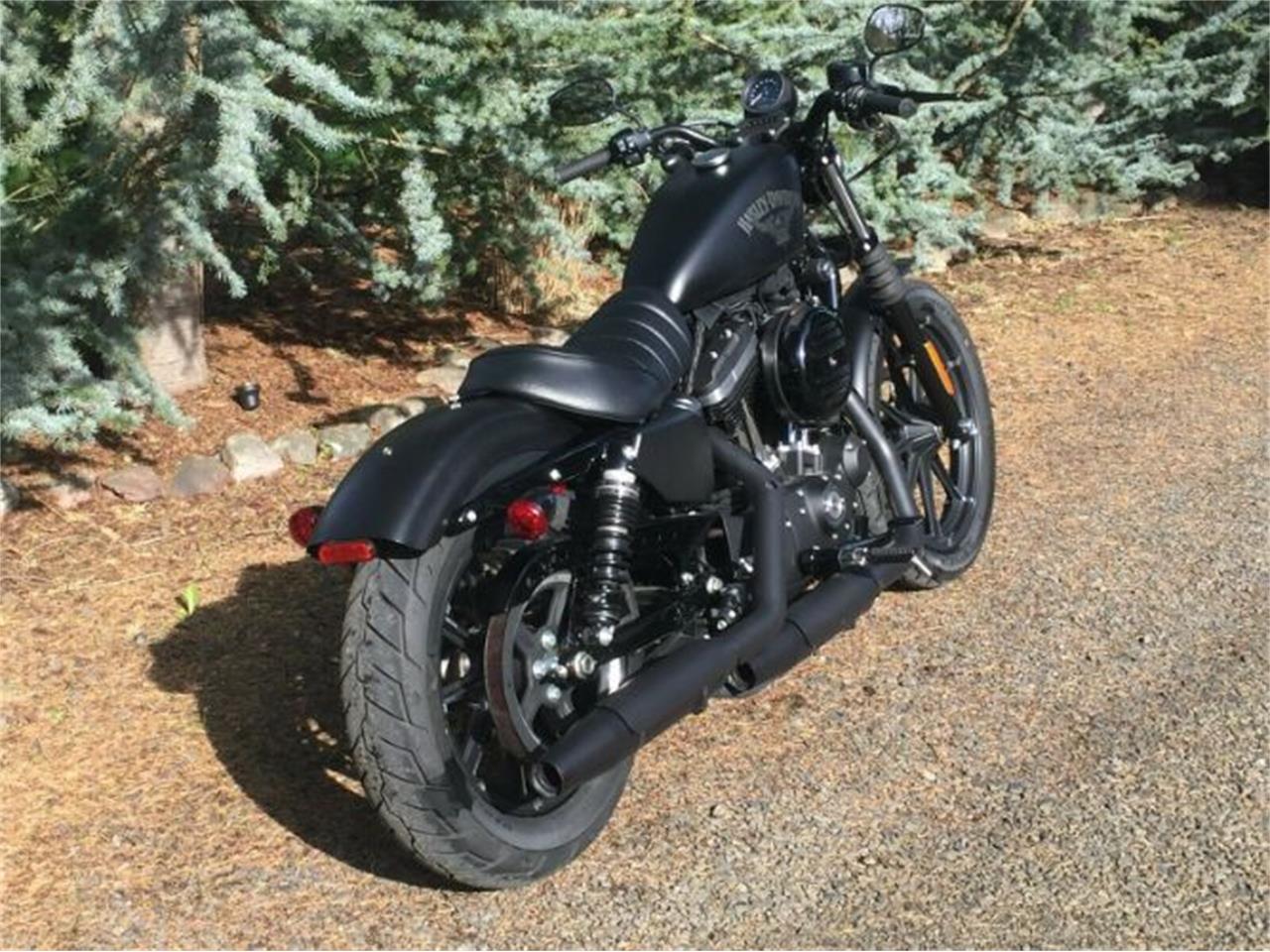 2018 Harley-Davidson Sportster for sale in Cadillac, MI – photo 3