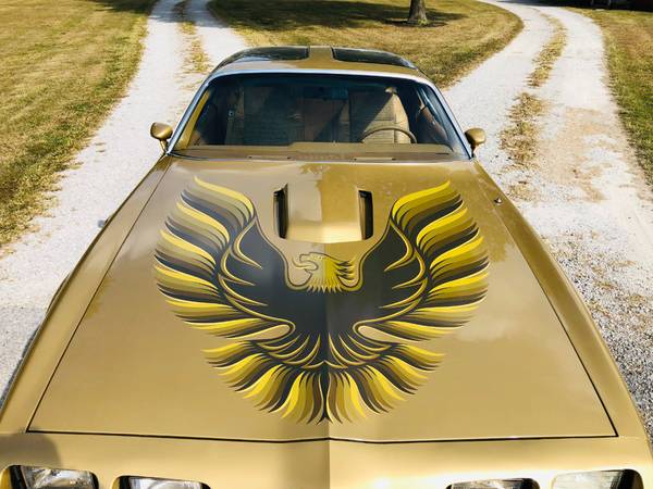 1979 *Pontiac* *Trans Am* *2dr Coupe* SOLAR GOLD for sale in Cicero, IN – photo 21