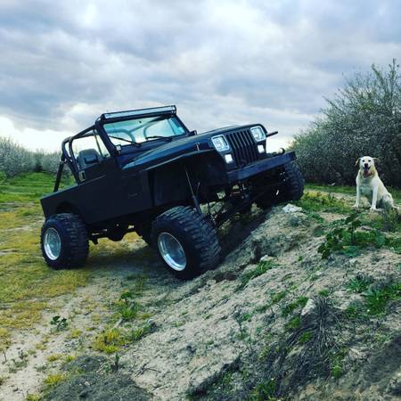 88 Jeep yj for sale in Modesto, CA – photo 5