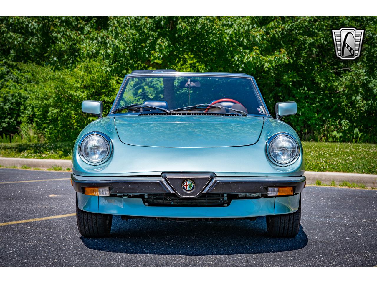 1983 Alfa Romeo Spider for sale in O'Fallon, IL – photo 37