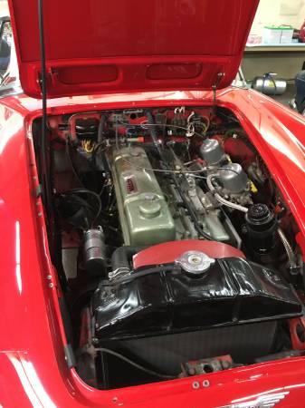 Austin Healey 3000 MKII BJ7 for sale in Atherton, CA – photo 4