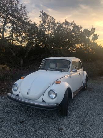 Triple White 1979 BUG - cars & trucks - by owner - vehicle... for sale in Salinas, CA – photo 4