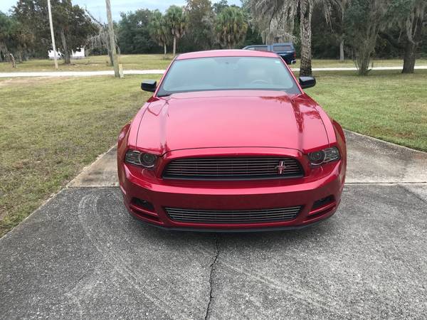 Mustang premium V6 for sale for sale in Brooksville, FL – photo 2