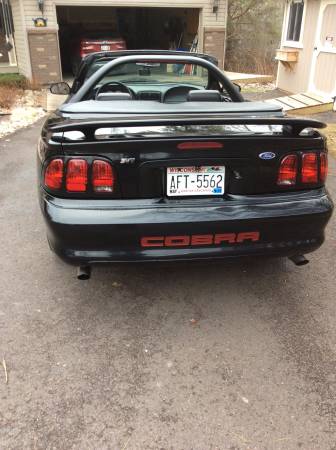 Mustang Cobra for sale in Duluth, MN – photo 10