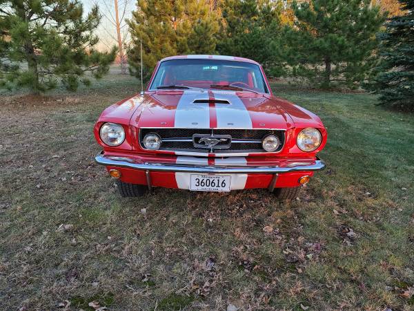 1965 Mustang Fastback - cars & trucks - by owner - vehicle... for sale in Stacy, MN
