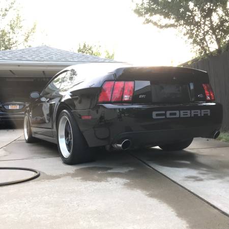 2003 Mustang Cobra Must Sell for sale in Clarence, NY – photo 7