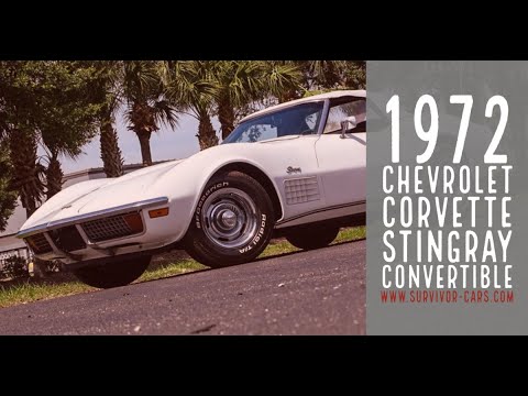1972 Chevrolet Corvette for sale in Palmetto, FL – photo 2