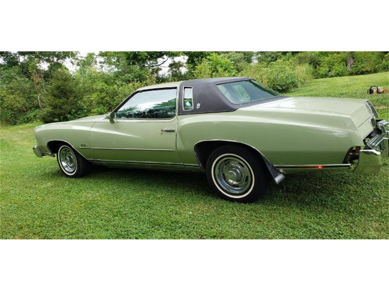 1974 Chevrolet Monte Carlo for sale in Cadillac, MI – photo 9