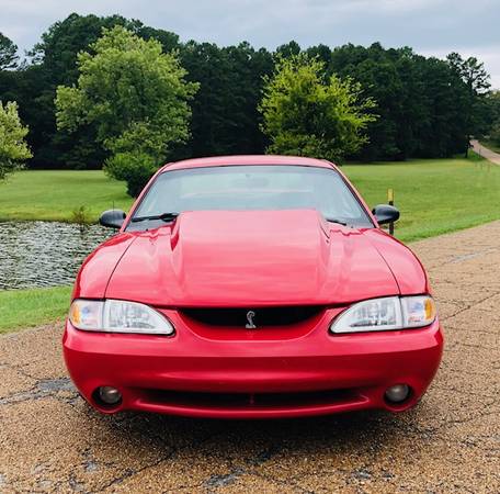 1997 Mustang Cobra Red Roush Wheels Black Leather 5-Speed *SUPER NICE* for sale in Heber Springs, AR – photo 3