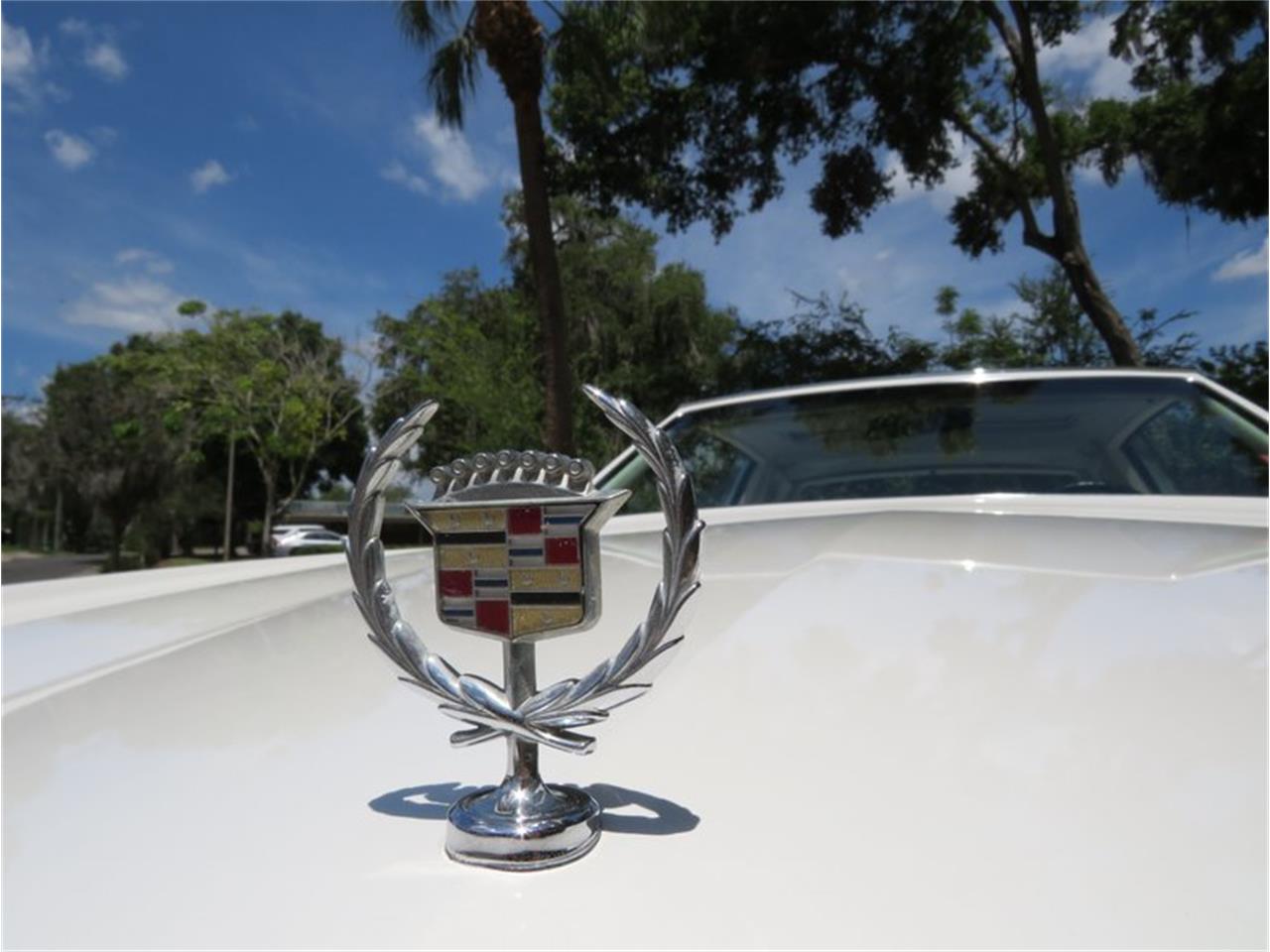 1984 Cadillac Eldorado for sale in Lakeland, FL – photo 49