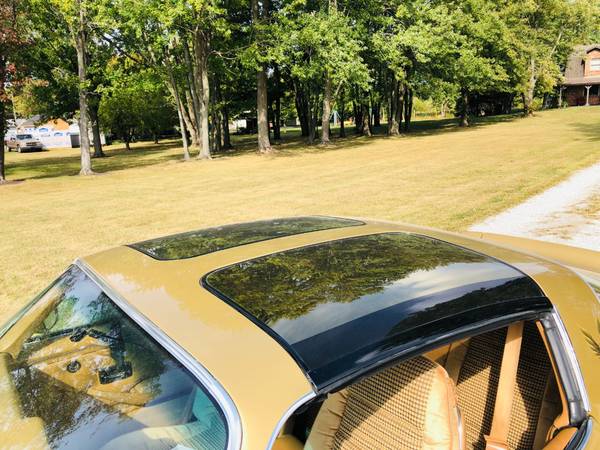 1979 *Pontiac* *Trans Am* *2dr Coupe* SOLAR GOLD for sale in Cicero, IN – photo 11