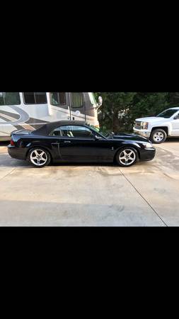 2003 Mustang Cobra for sale in Greenville, SC – photo 2