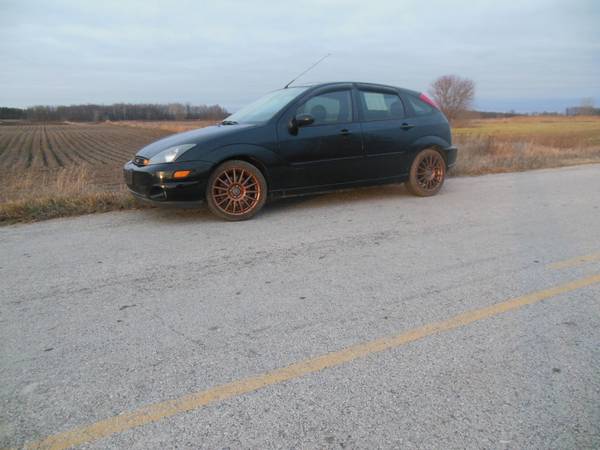 New Pics 2004 Ford Focus SVT ZX5 Rust Free New Pics Firm Price -... for sale in Maribel, WI – photo 2