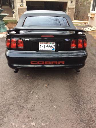 Mustang Cobra for sale in Duluth, MN – photo 5