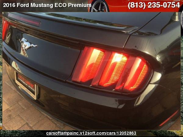 2016 Ford Mustang ECO Premium ECO Premium for sale in TAMPA, FL – photo 6