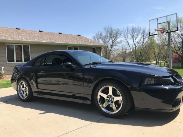 2003 Mustang SVT Cobra for sale in Blue Grass, IA – photo 2