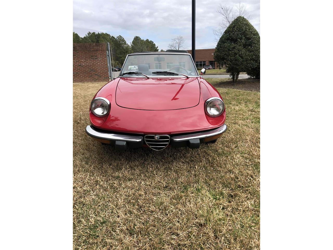 1974 Alfa Romeo 2000 Spider Veloce for sale in Morrisville, NC – photo 34