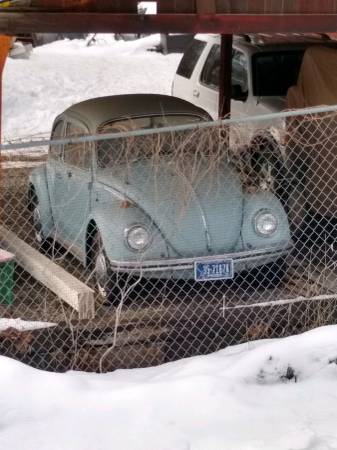 1968 Bug & 1948 Willys jeep for sale in Other, WA