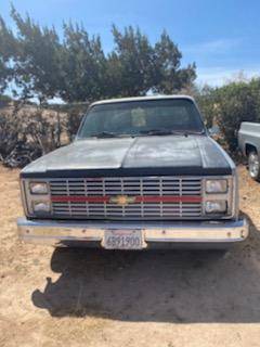 1984 Chevy C10 Short Bed for sale in Palmdale, CA – photo 2