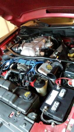 1996 Mustang Cobra SVT - cars & trucks - by owner - vehicle... for sale in Saugerties, NY – photo 4