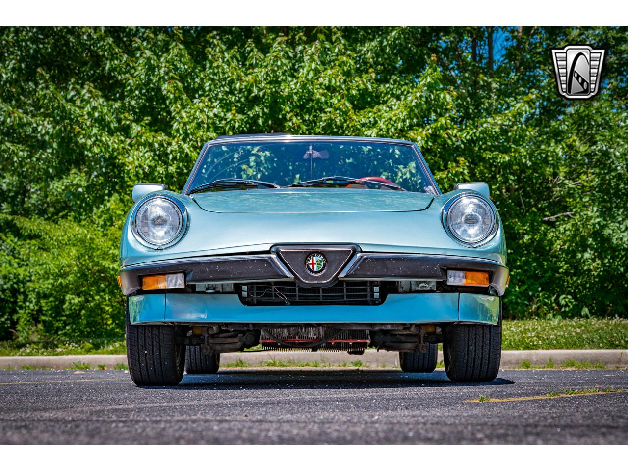1983 Alfa Romeo Spider for sale in O'Fallon, IL – photo 38