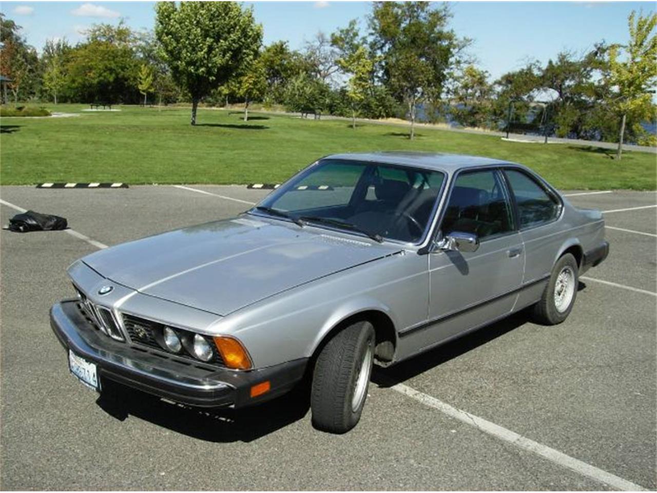 1979 BMW 633csi for sale in Cadillac, MI – photo 13