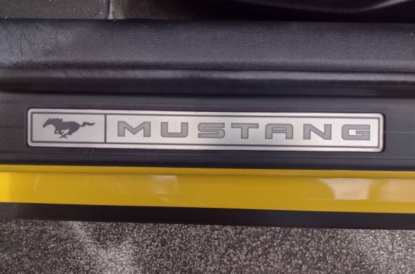 2015 Ford Mustang Fastback GT 5 0 Premium Stickshift for sale in Margate, FL – photo 12