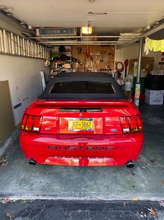 1999 Mustang Cobra Supercharged - cars & trucks - by owner - vehicle... for sale in North Babylon, NY – photo 5