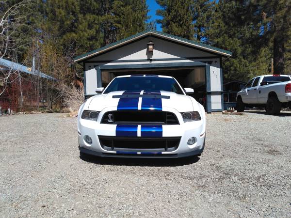 2014 Shelby Cobra Mustang GT 500 for sale in Calpine, NV – photo 2