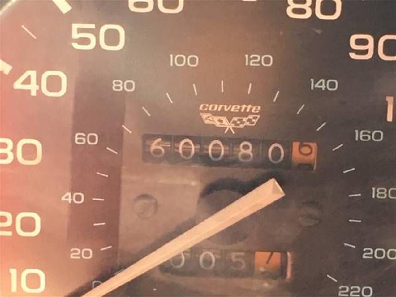 1979 Chevrolet Corvette for sale in Cadillac, MI – photo 3