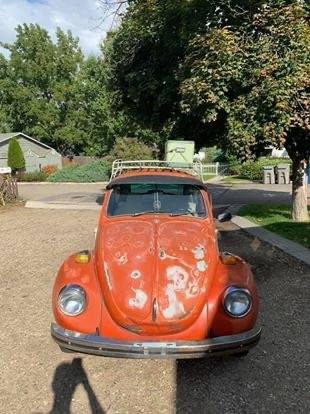1971 VW Volkswagen super beetle for sale in Boise, ID – photo 2