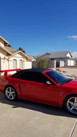 mustang cobra s.v.t. - cars & trucks - by owner - vehicle automotive... for sale in Valentine, AZ – photo 15